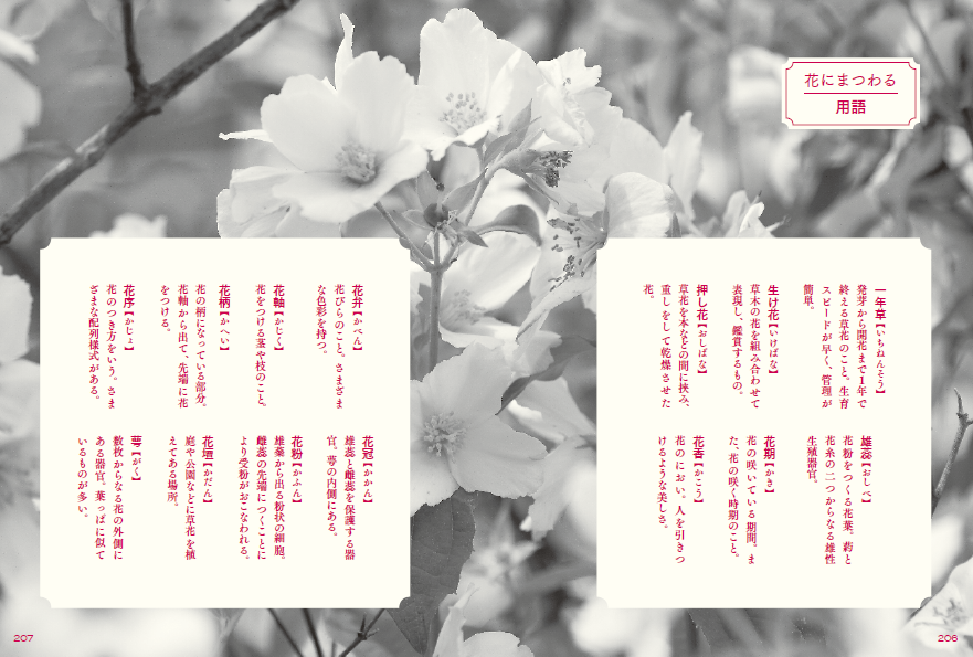 「花にまつわる用語」のページ記載のある花の図鑑