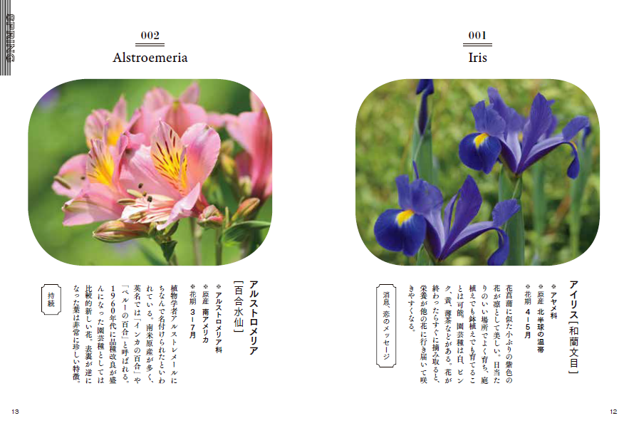 各花の説明や特徴、歴史などの記載がある花の図鑑